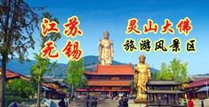 日韩黄片视频播放江苏无锡灵山大佛旅游风景区